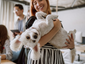 Woman holding her white pet dog - Le Jaime pet-friendly apartments in Clairemont, San Diego